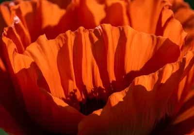 Imagen PNG para descargar